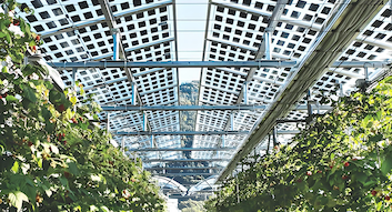 Последние блоги о компании Италия выпускает новые правила отбора площадок для солнечных проектов и налоговые льготы на солнечную энергию